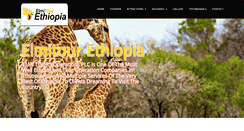 Desktop Screenshot of elmitourethiopia.com